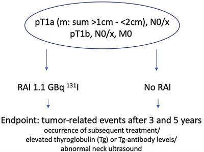 Shared Decision Making for Radioiodine Therapy and the Actual Pattern of Care in Intermediate-Risk Differentiated Thyroid Carcinoma